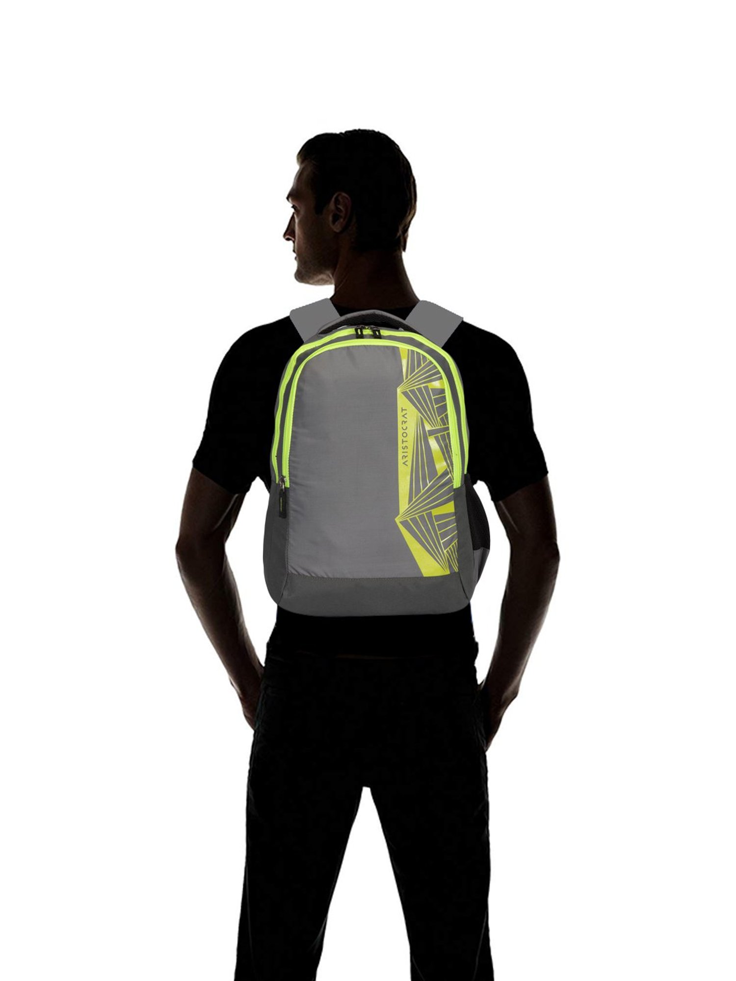 Aristocrat Zen 27 Ltrs Grey & Green Medium Backpack