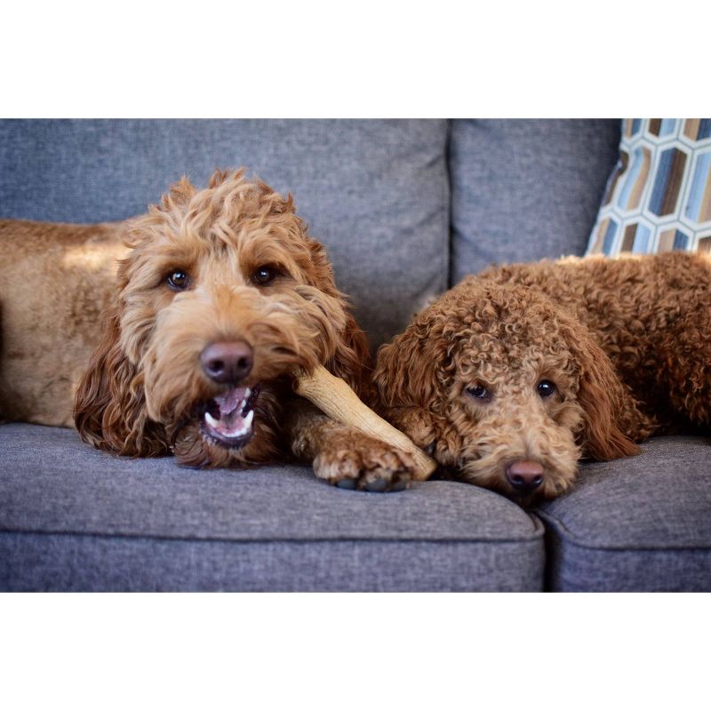 Petstages Dogwood Stick Wooden Dog Chew Toy - Brown - M