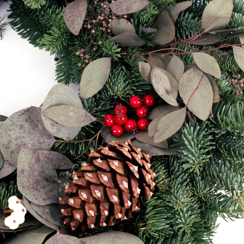 24" Live Fresh Cut Pacific Northwest Eucalyptus and Berry Wreath -  Van Zyverden