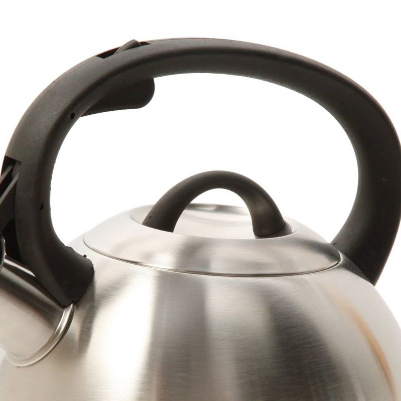 Mr. Coffee 2 Quart Stainless Steel Whistling Tea Kettle with Nylon Handle