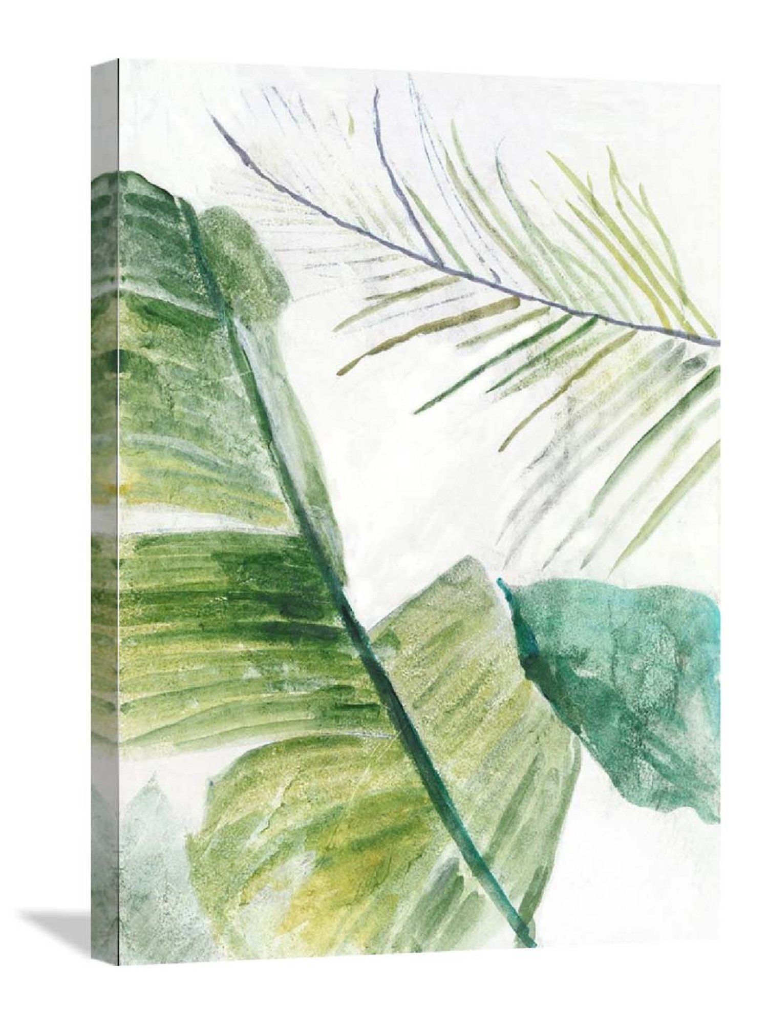 ARTE'VENUE Tropical Greenery Green & White Canvas Wall Art - Set of 1 (10 X 14 inch)