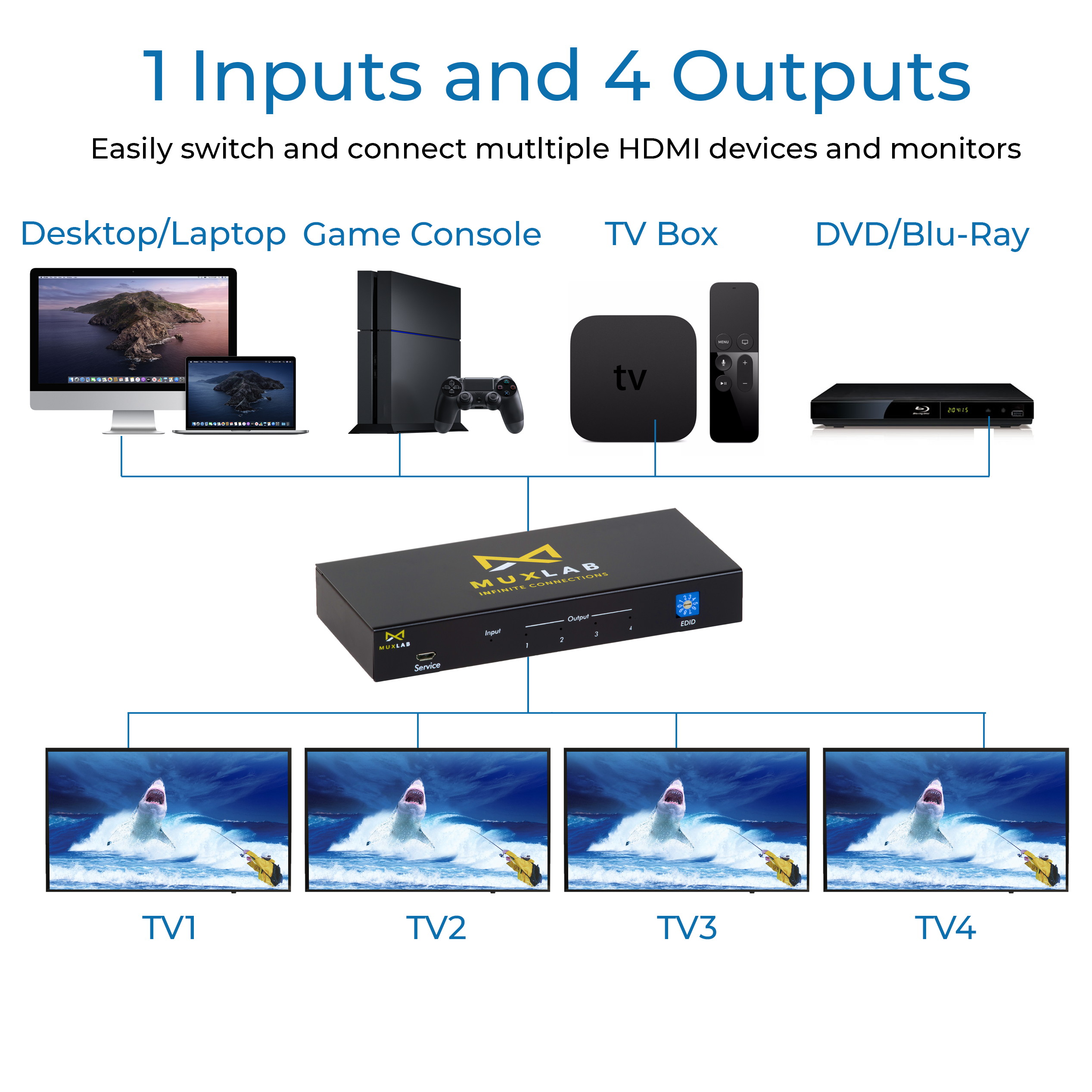 MuxLab 1x4 HDMI Splitter 1 in 4 Out | Supports 4K@60HZ (4:4:4), HDR, HDMI 2.0, HDCP 2.2, Deep Color, EDID Management and LED Diagnostic (1 Source to 4 Displays, for Duplicate Monitor Screens).