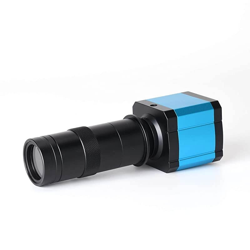 MicroMini 20x LED Lighted Pocket Microscope with Builtin UV and LED Flashlight Green