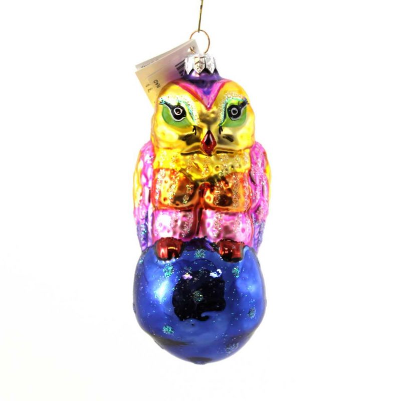 Christopher Radko Hooty Hoot Owl Wise Christmas  -  Tree Ornaments