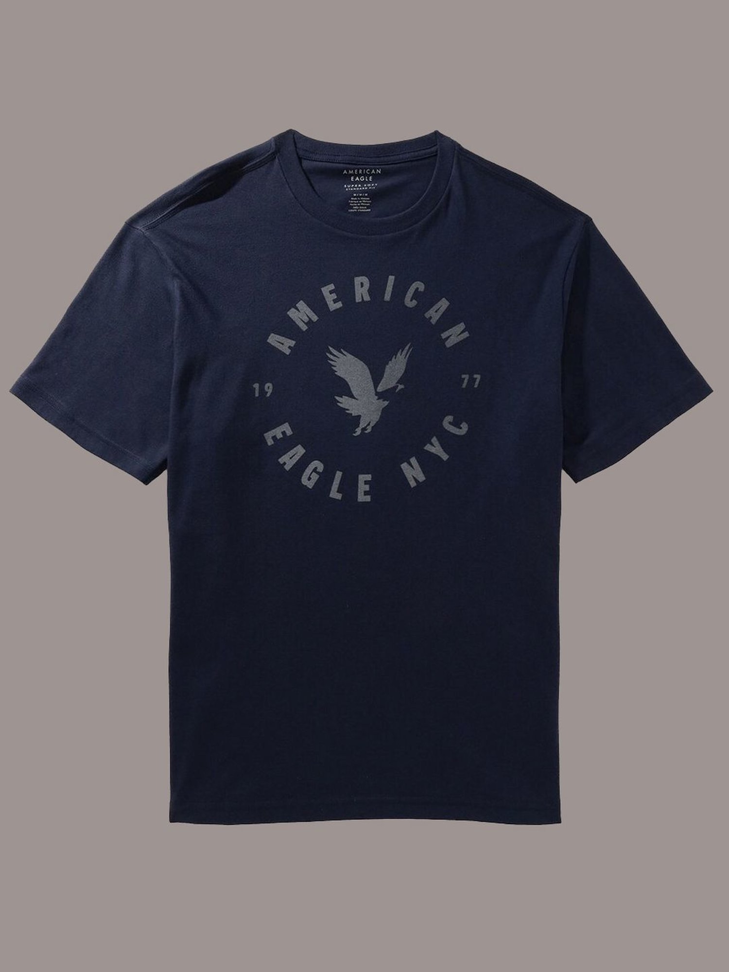 American Eagle Navy Regular Fit Printed T-Shirt