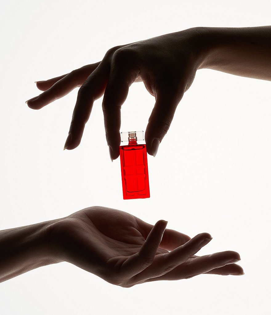 Elizabeth Arden Red Door 3.3 oz Eau de Toilette Deluxe Fragrance Gift Set