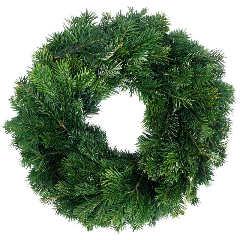 Live Fresh Cut Pacific Northwest Silver Fir 20" Wreath - Van Zyverden