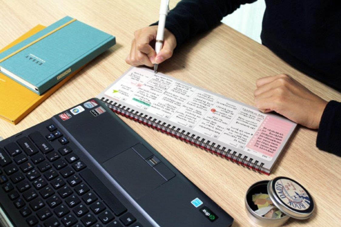 PAPERIAN Brilliant Weekly Scheduler - Wirebound Undated Weekly Planner Pad Scheduler (Blue)