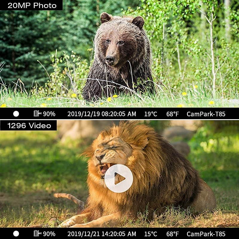 WiFi Bluetooth Trail Camera 20MP 1296P with 940nm IR LEDs Night Vision Motion Activated IP66 Waterproof for Wildlife Monitoring