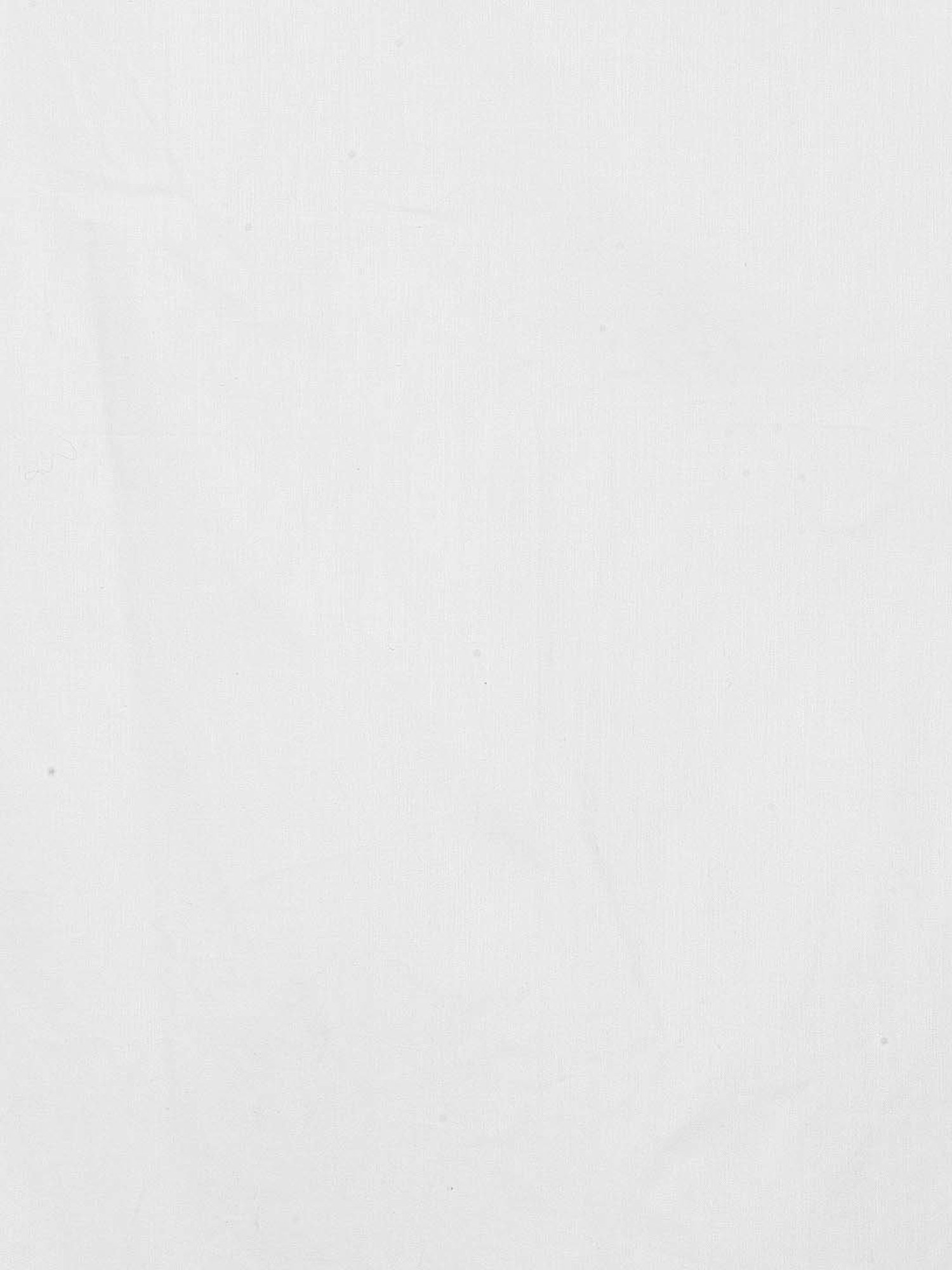 The Baby Atelier White Solid Cotton 400 TC Bed Sheet