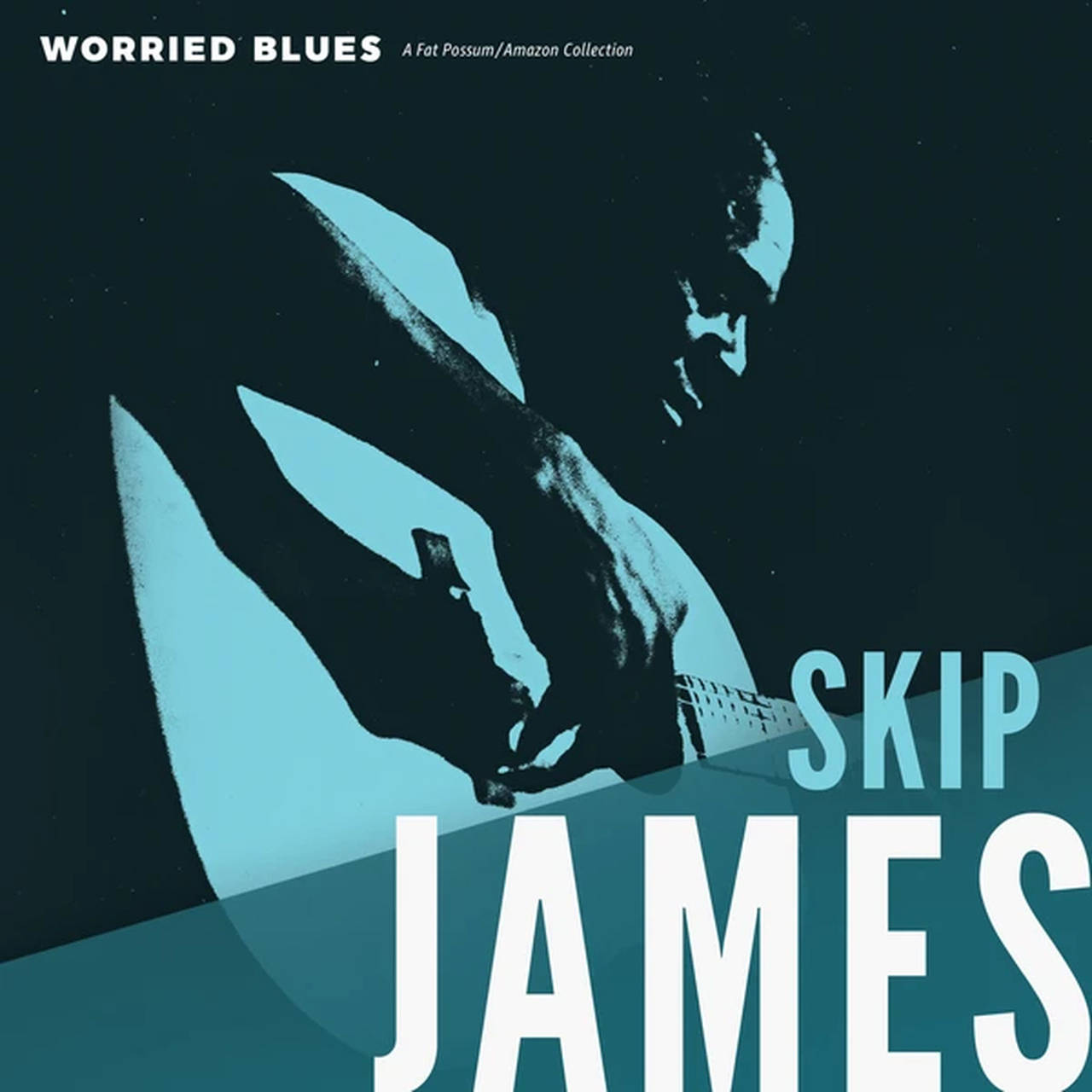 Skip James Worried Blues LP (Vinyl)
