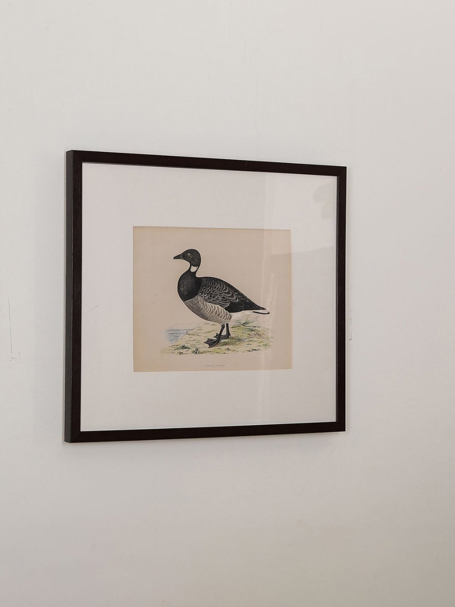 Home4U Cfo 140064 Multicolor Ceramic Wall Art