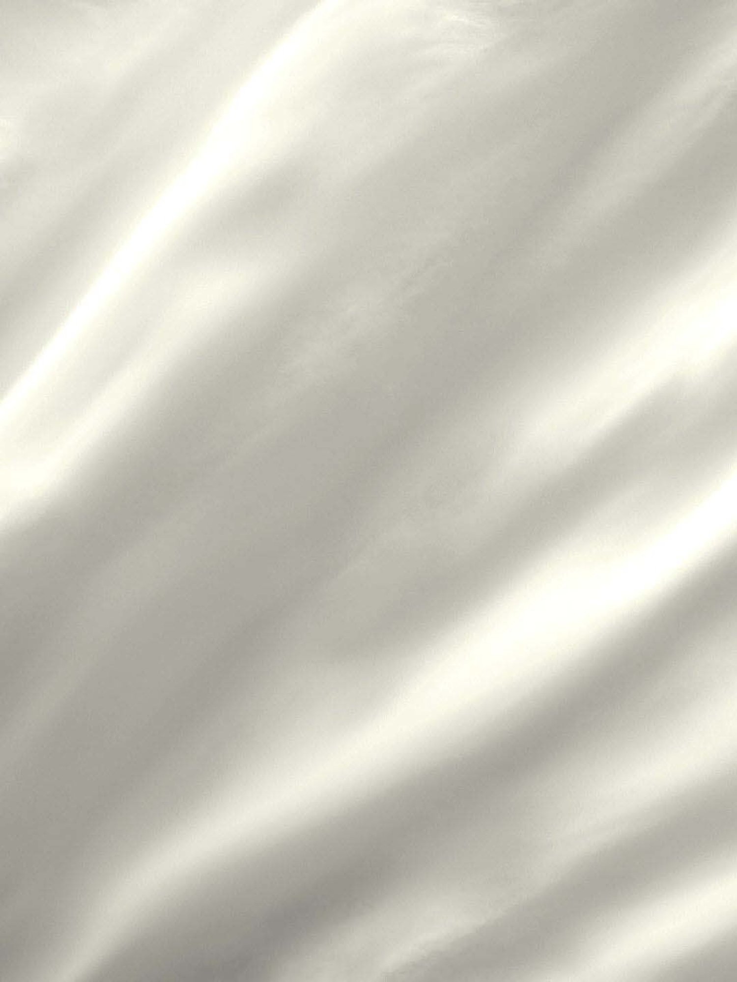 Boutique Living Kalpavriksha White Bamboo Cotton 300 TC King Size Bed Sheet with Pillow Cover