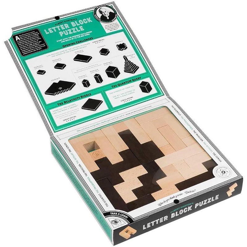 Professor Puzzle The Einstein Collection 12 Challenges Letter Block Puzzle