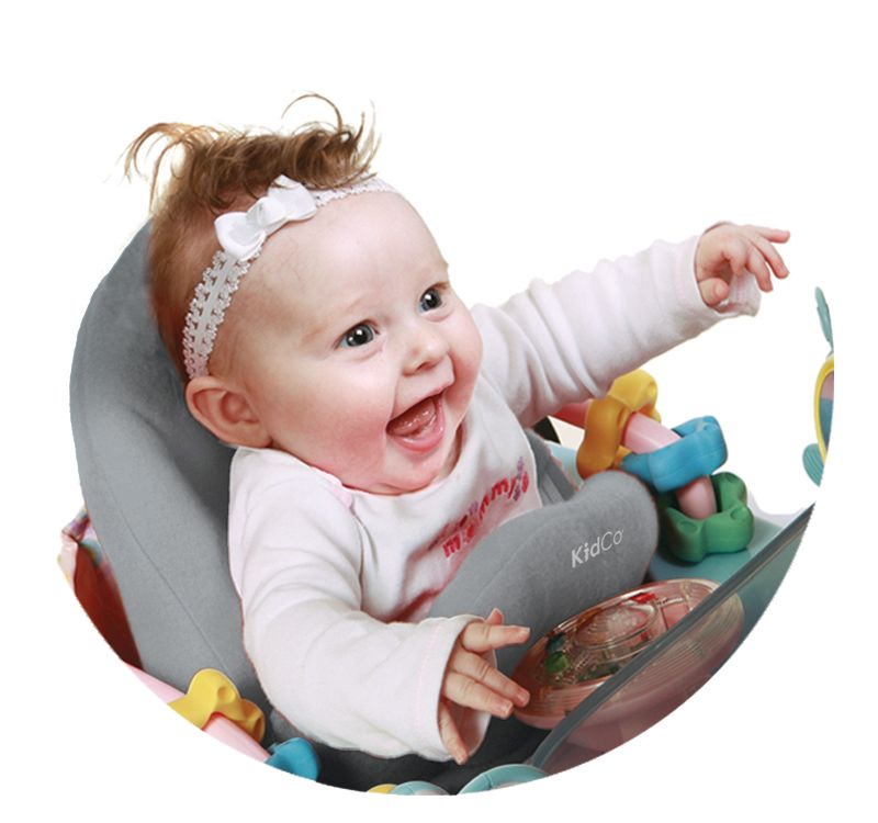 ​Fisher-Price Baby Bouncer
