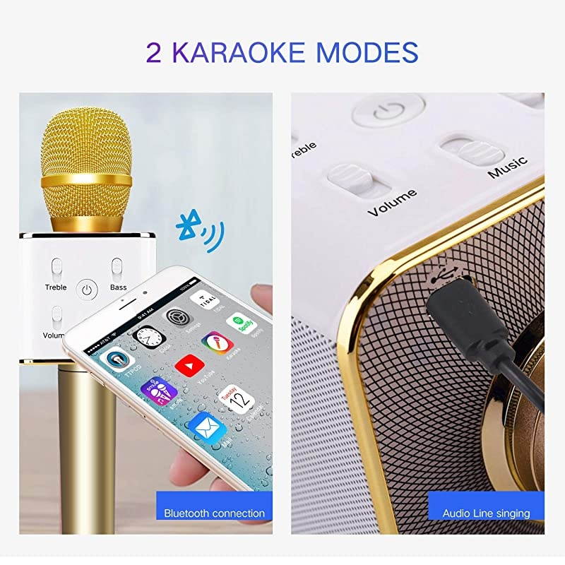 Q7 Wireless Bluetooth Karaoke Microphone10W Dual Speakers Portable Handheld Karaoke Machine Christmas Birthday Home Party for KidsAdults iPhoneiPadTabletTVPCAndroid SmartphoneGolden