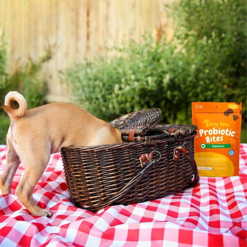 Zesty Paws Probiotic Digestion Vitamins & Supplements for Dogs – 60 ct