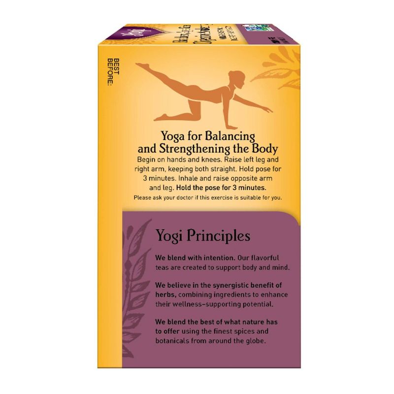 Yogi Tea Blackberry Apple Cider Digestive Awakening Tea Bags - 16ct