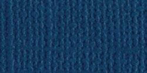 Bazzill BAZL-E-727 Bazzill Cardstock 12 x 12 Inch  - Case of  25