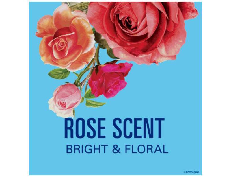 Secret Invisible Solid Antiperspirant & Deodorant Rose Scent Refill Pod - 2oz