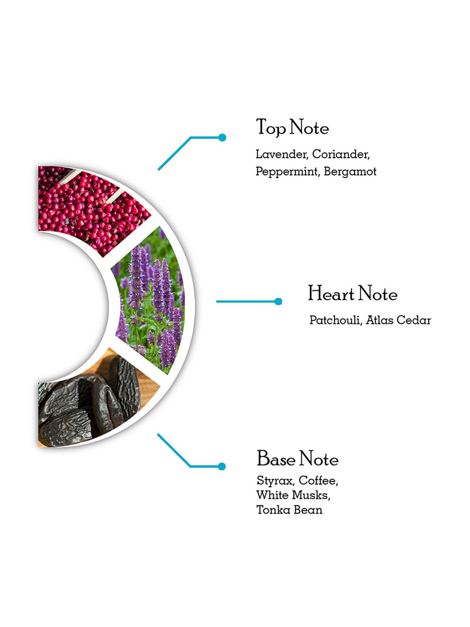 Dorall Collection Saraqael Eau de Toilette For Men - 100 ml