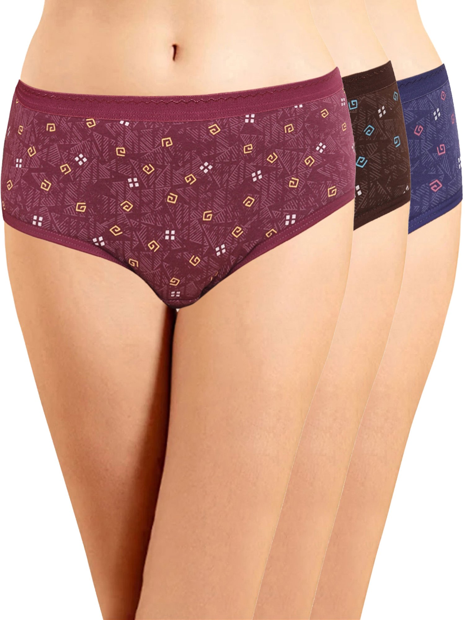 Lyra Assorted Color Cotton Printed Hipster Panties - Pack Of 4