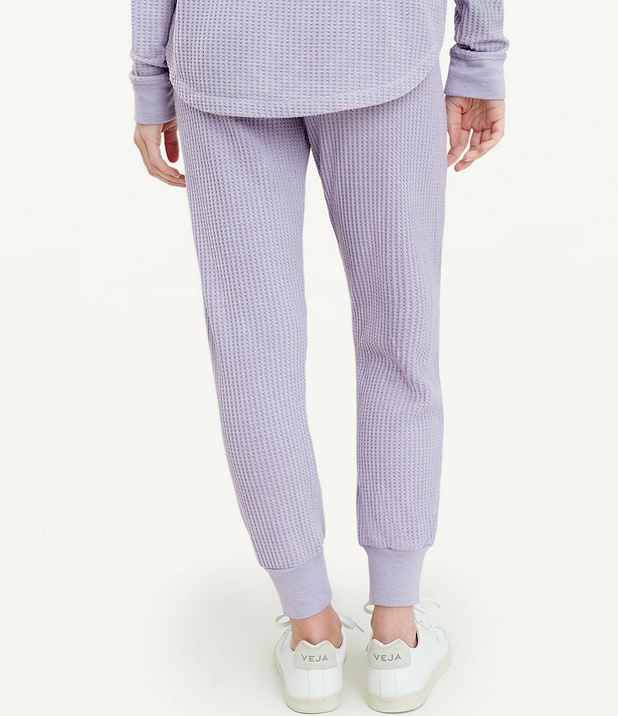 Sanctuary Perfect Knit Elastic Waist Pull-On Coordinating Sweatpants