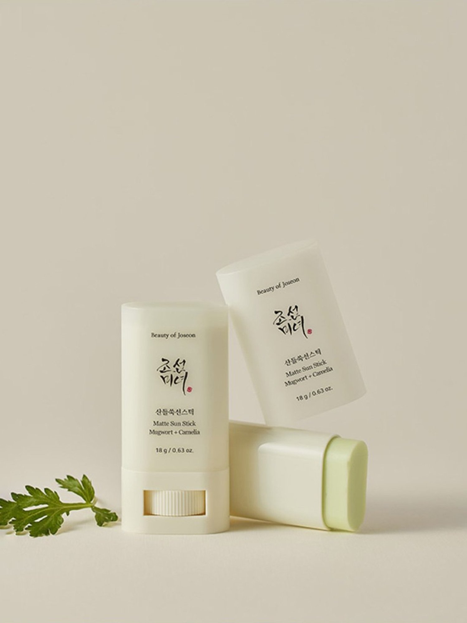 Beauty of Joseon Mugwort + Camelia Matte Sun Stick SPF 50 PA++++ - 18 gm