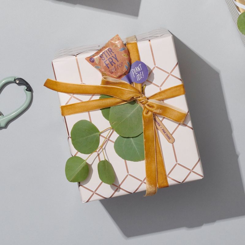 Modern Sprout Culinary Seed Pop - 10 pk