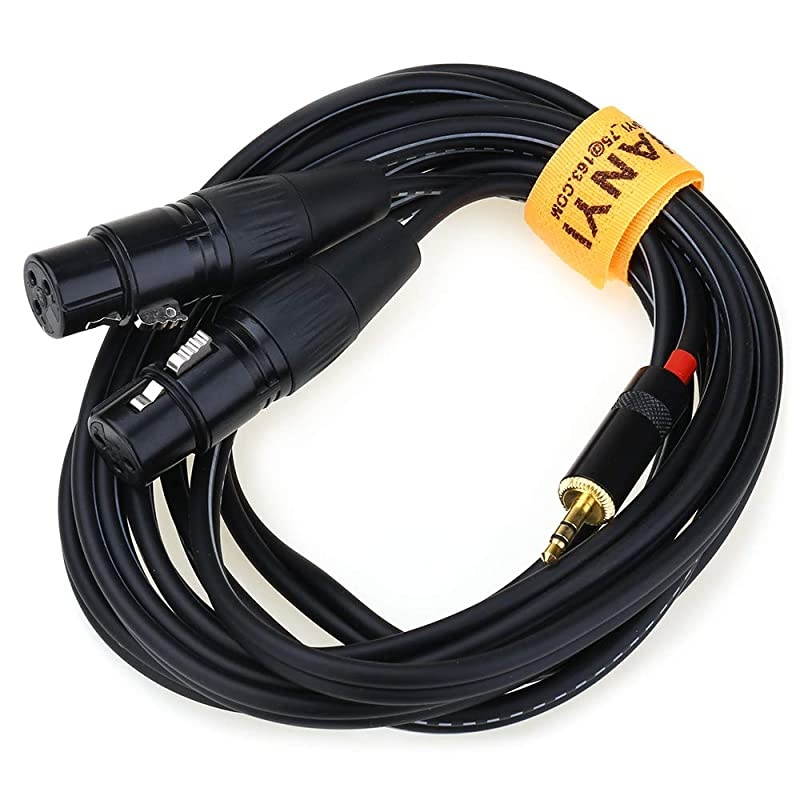3.5mm to 2XLR Microphone Splitter Audio Cables, TRS Stereo Male to Two XLR Female Interconnect Audio Microphone Cable, Y Splitter Adapter Cable 3M (10FT)