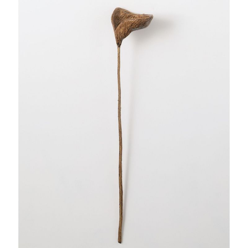 Sullivans Artificial Faux Pod Stem 24.5"H Brown