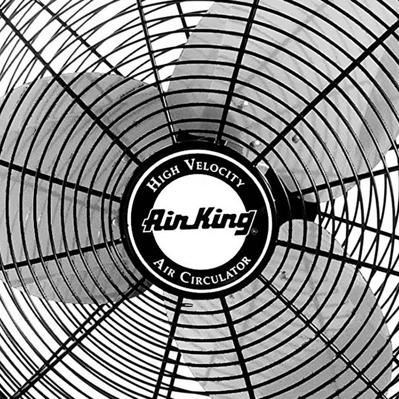 Air King 9320 20 Inch 1/6 HP 3-Speed Indoor Non-Oscillating Ceiling Mount Fan