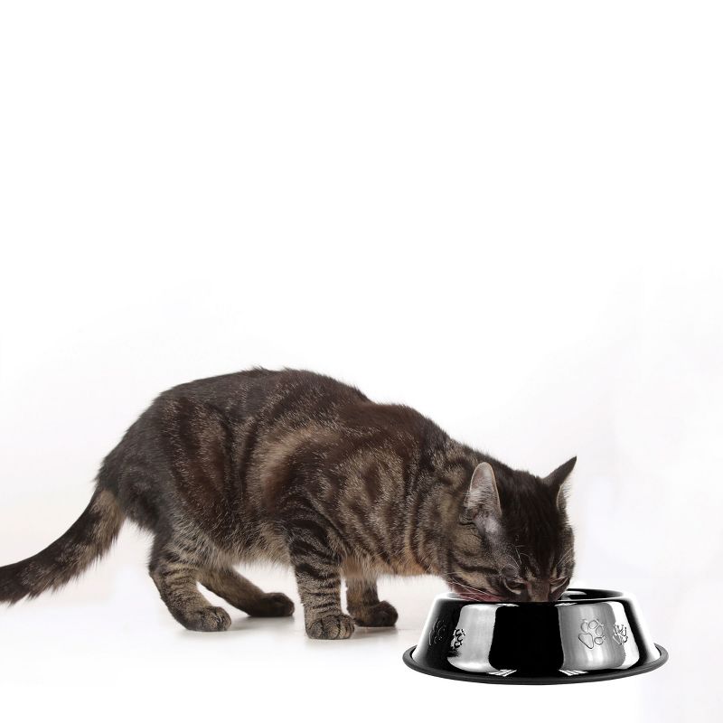 Platinum Pets Embossed Non-Tip Cat/Dog Bowl - Midnight Black - .75 Cup