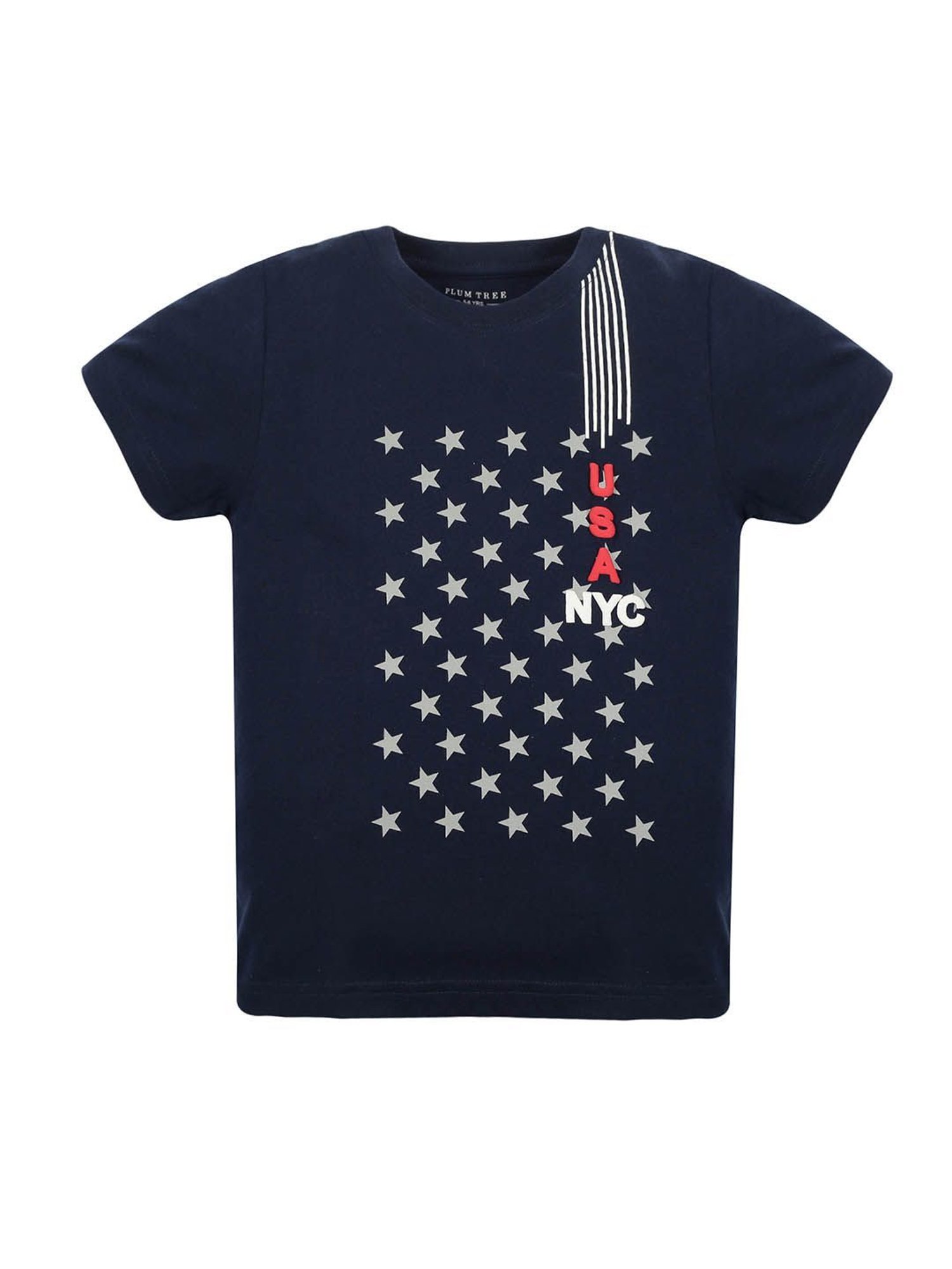 Plum Tree Kids Grey & Navy Printed T-Shirt (Pack Of 2)