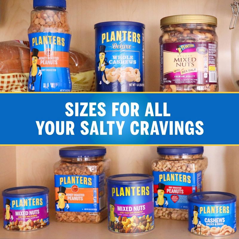 Planters Mixed Nuts - 15oz