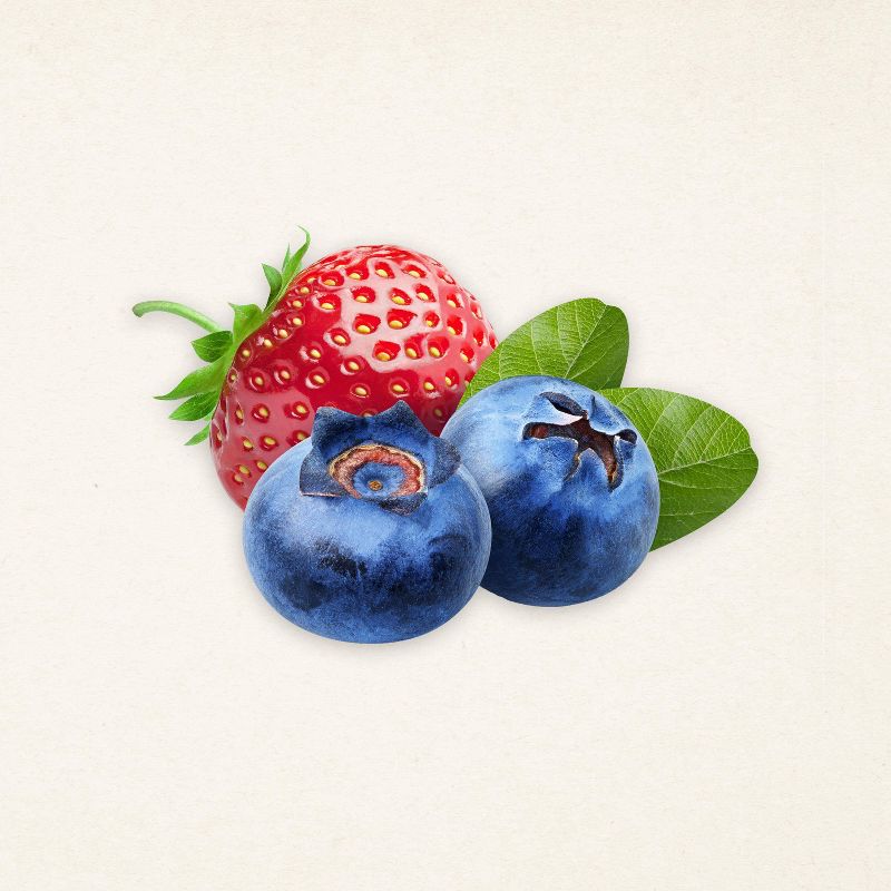 Vicks Children's Botanicals Multi-Care Dietary Supplement - 4 fl oz