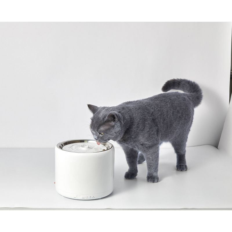 Amici Pet Marble Paw Glass Food Canister, 72oz