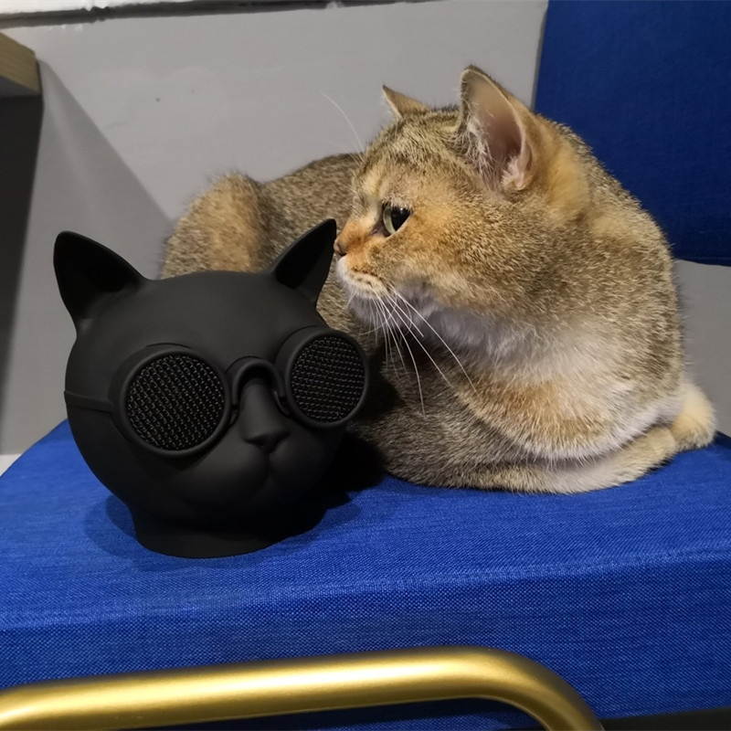 Enermax O'Marine EAS03-BS Black/Silver Waterproof Wireless Speaker