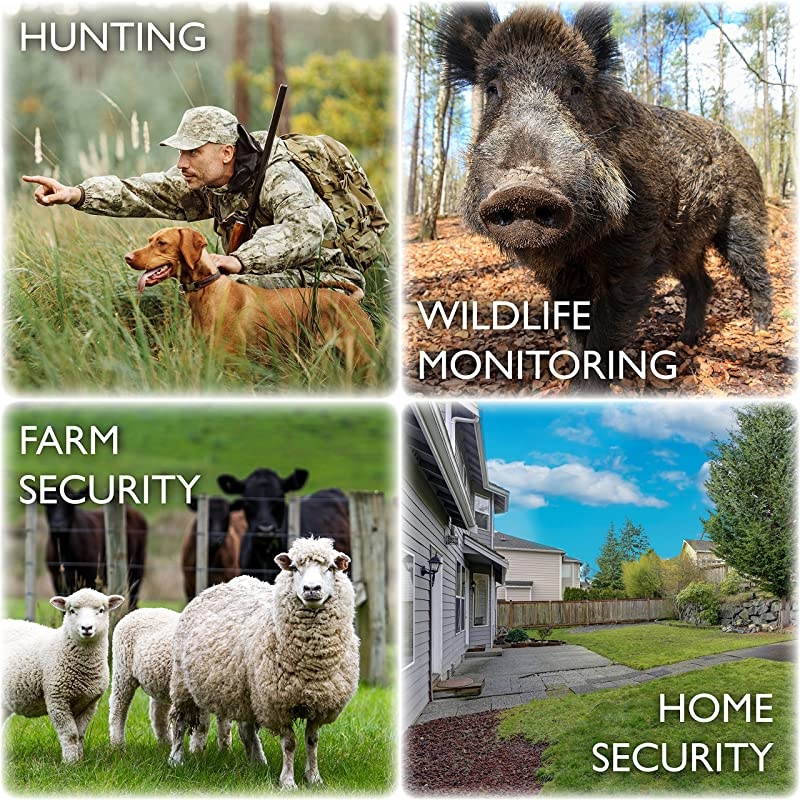 Trail Camera 14MP 1080P Full HD Wildlife Scouting Hunting Camera with Motion Activated Night Vision 120&deg; Wide Angle Lens 42 IR LEDs and 24 LCD Screen IP66 Waterproof Game Camera