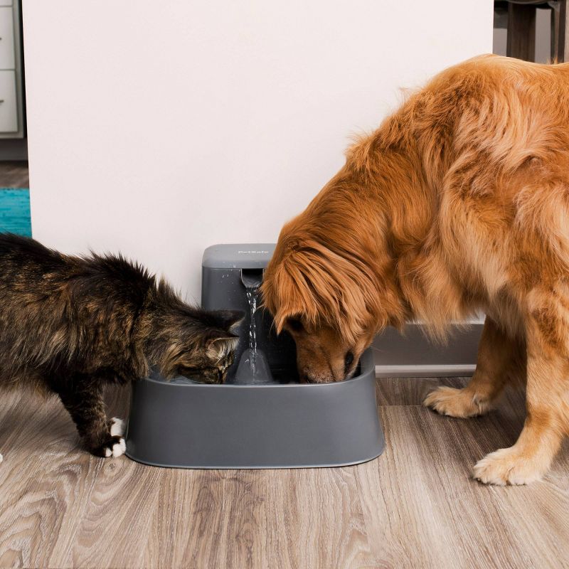 PetSafe Drinkwell Pet Fountain - Gray
