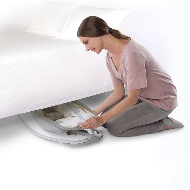 ​Fisher-Price Baby Bouncer