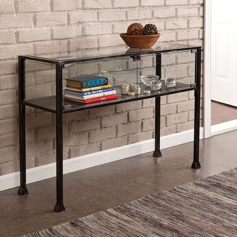 SEI Furniture Rectangular Distressed Slim Modern Style 2 Door Metal Terrarium Display Media Console Accent Table with Glass Cabinet Doors, Black