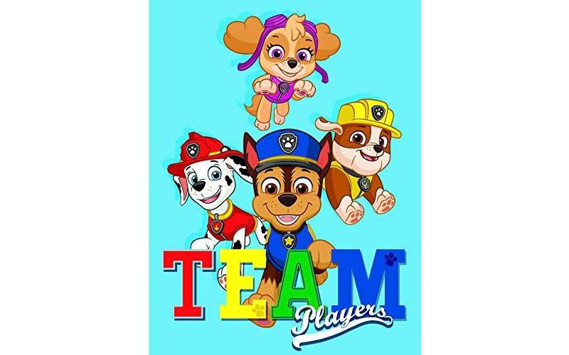 The Northwest Company PAW PATROL   FANTASTIC TEAM, Blue