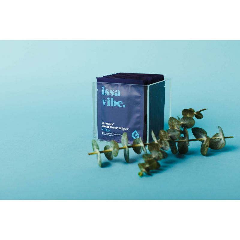 Goodwipes Fresh Down There Wipes - 16ct