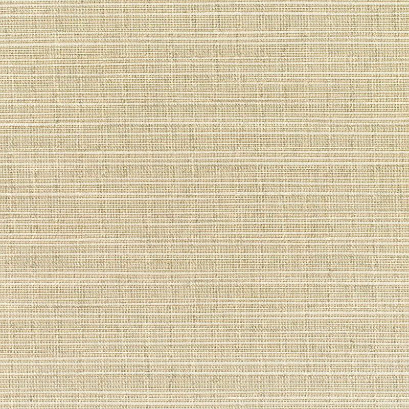 Sunbrella Textured Outdoor Seat Cushion Beige