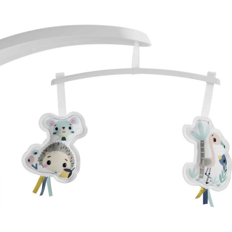 ​Fisher-Price Baby Bouncer