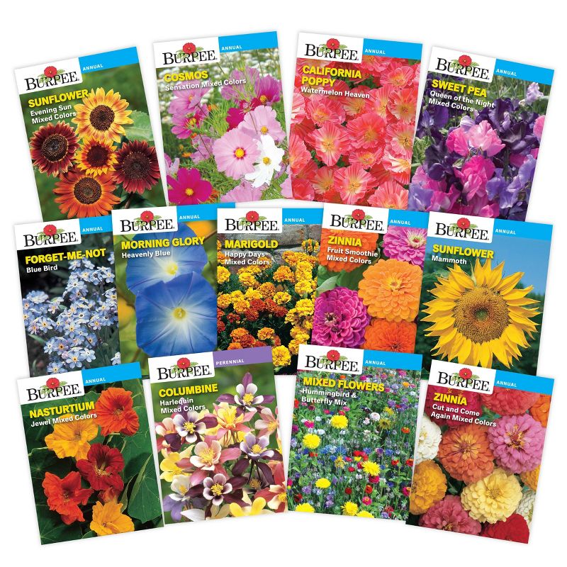 Van Zyverden Roses Mikado Root Stock