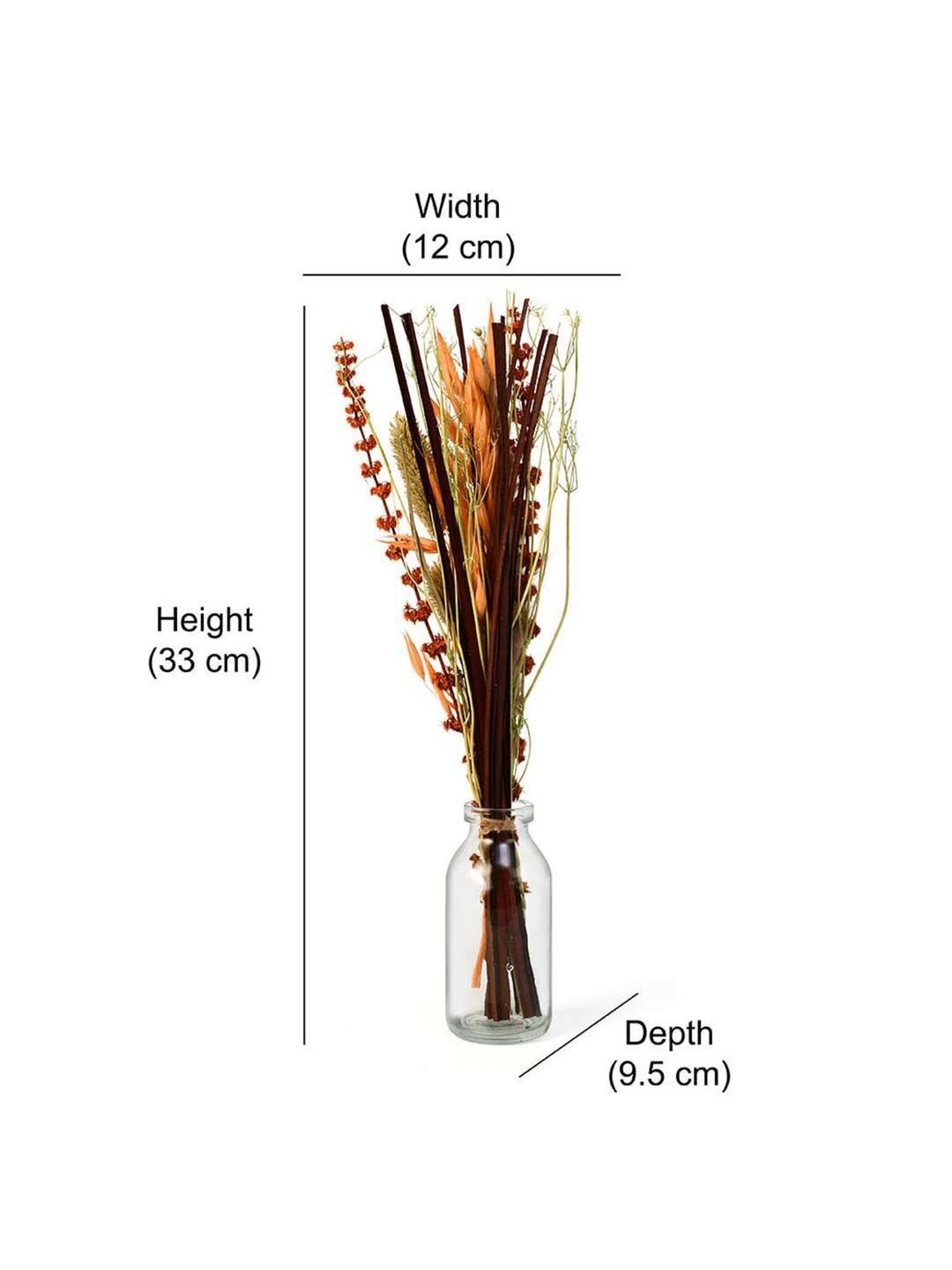 @home by Nilkamal Arias Decorative Glass Vase with Dry Flowers (Transparent & Brown)