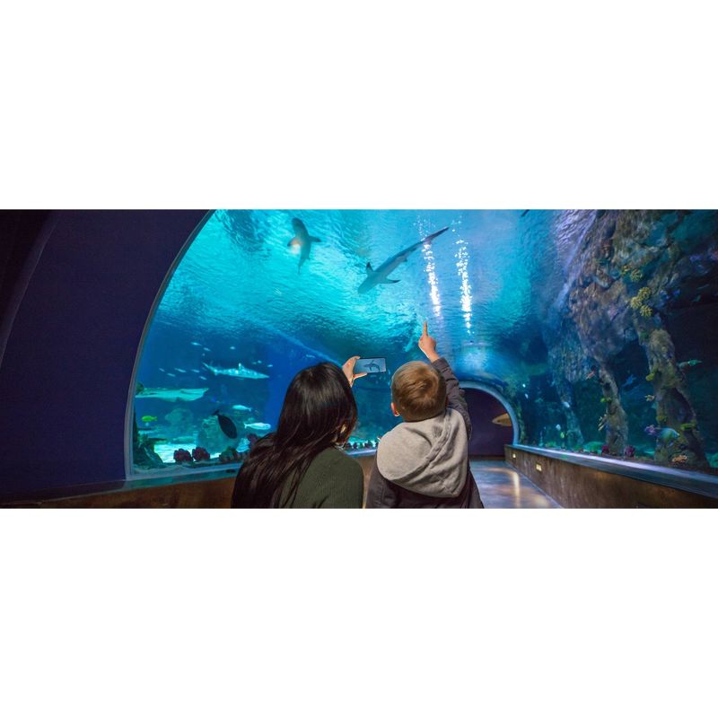 ZAGG Samsung Galaxy S9 Curved Glass Screen Protector