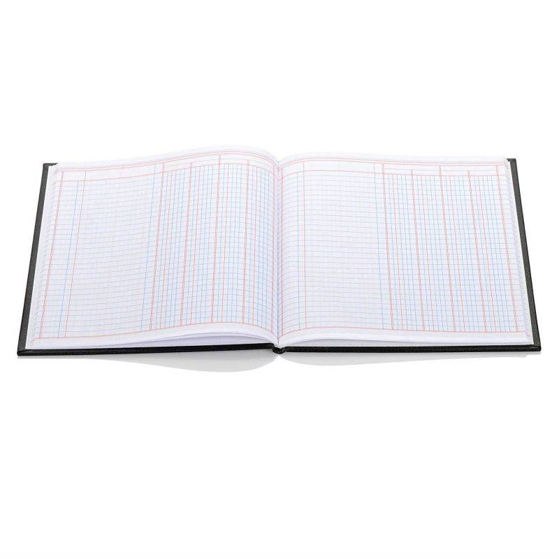 Wilson Jones 74100 Account Book, 9 1/4-Inch x 7-Inch, 30 Lines, 80 Pages, 4 Columns, Case of 12 (W74104)
